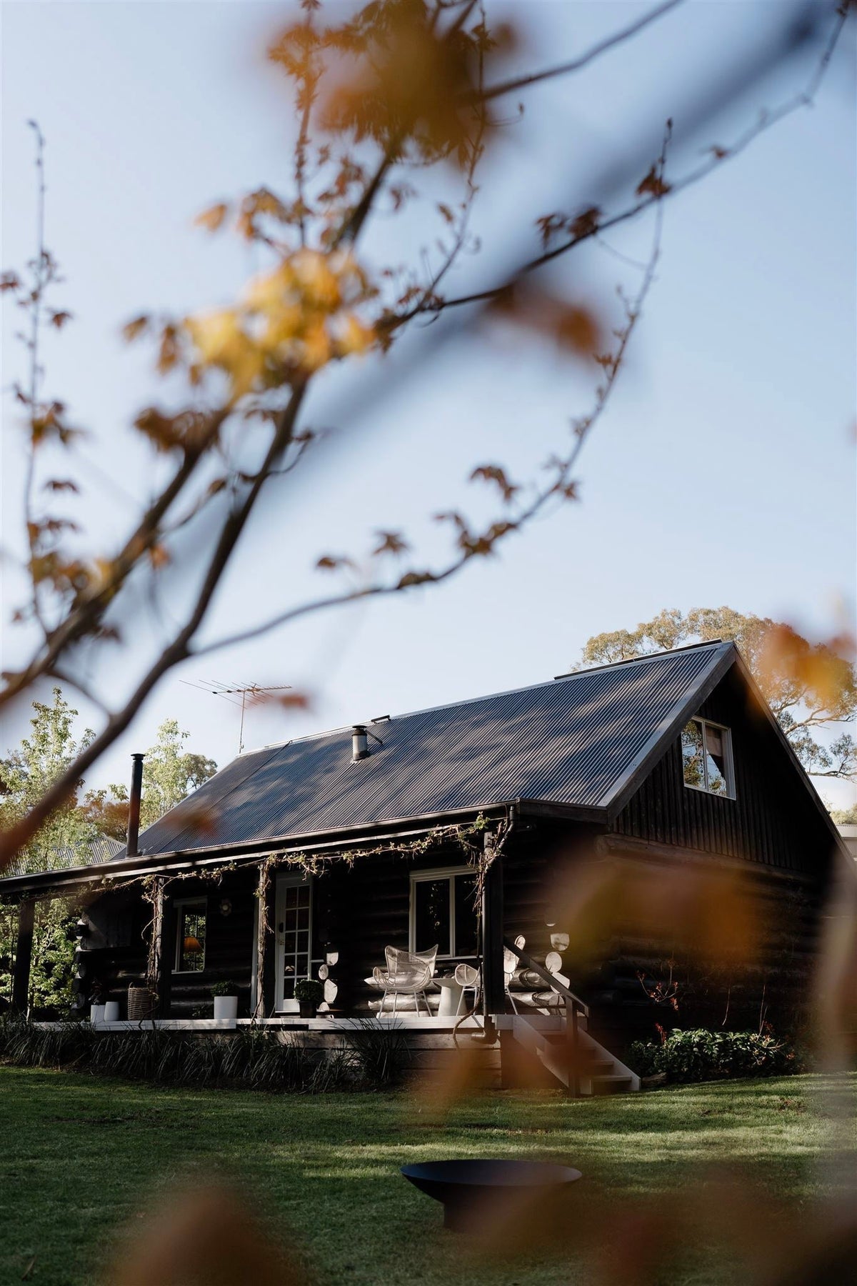 Introducing norsu Cabin