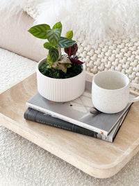 CoTheory beige travertine footed letter tray holding books, a small plant in a white pot, and a white speckled mug.