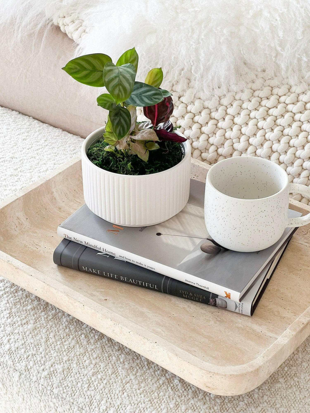 CoTheory beige travertine footed letter tray holding books, a small plant in a white pot, and a white speckled mug.