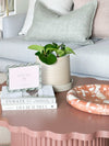 norsu Studio scalloped magnetic photo frame with acrylic background on pink scalloped table near green plant and books in modern living room