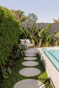 norsuHOME: Planting Guide by Mint Design (Digital Download)