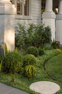 norsuHOME: Planting Guide by Mint Design (Digital Download)