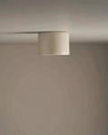 Robert Gordon Short Cylinder Ceiling Light - Poppyseed