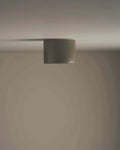 Robert Gordon Short Cylinder Ceiling Light - Olive