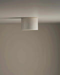 Robert Gordon Short Cylinder Ceiling Light - Coast