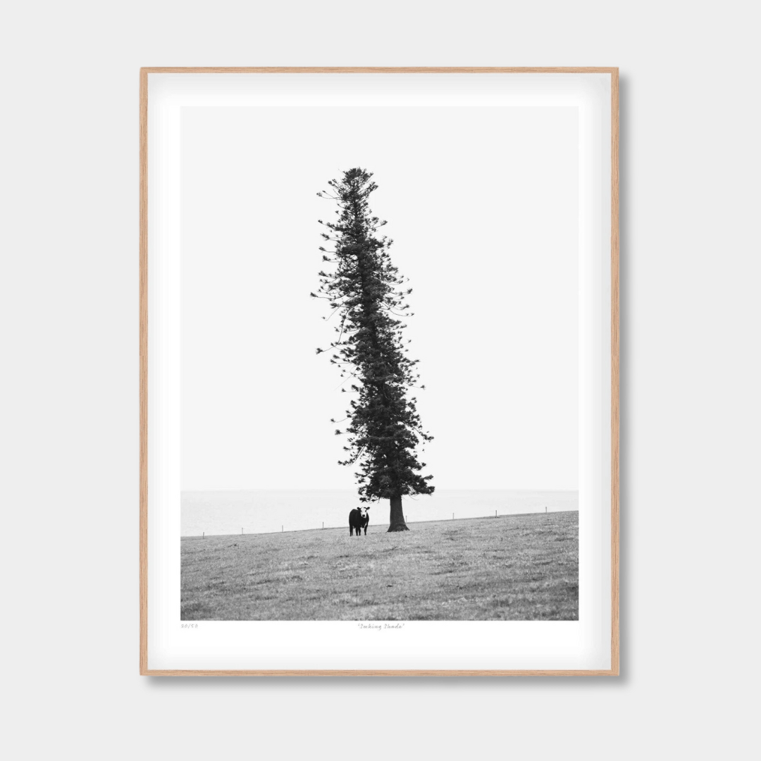 Morgan Henson Prints Morgan Henson Limited Edition Fine Art Print - Seeking Shade