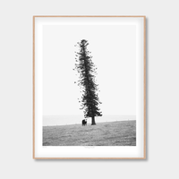 Morgan Henson Prints Morgan Henson Limited Edition Fine Art Print - Seeking Shade