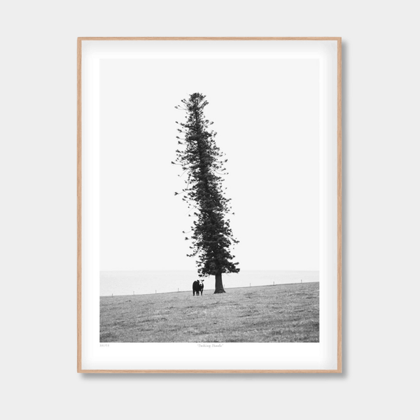 Seeking Shade — limited edition fine art print by Morgan Henson | wall art at Norsu Interiors