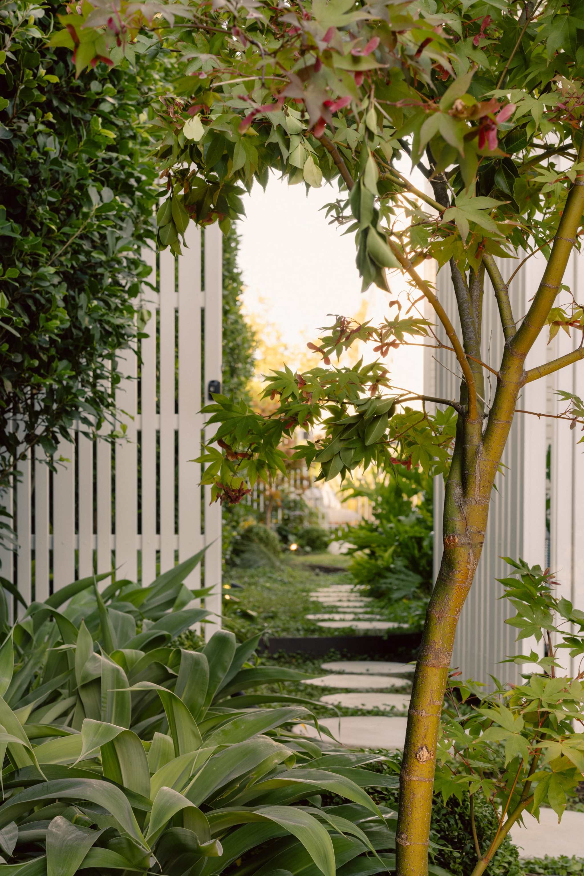 norsuHOME: Planting Guide by Mint Design (Digital Download)