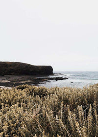 Morgan Henson Prints Morgan Henson Limited Edition Fine Art Print - Bushrangers