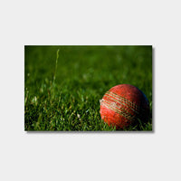 Not Out Print - Various sizes