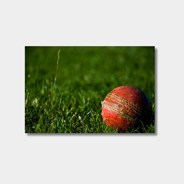 Not Out Print - Various sizes
