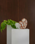 CoTheory Amour Table Sculpture - Brown Calacatta