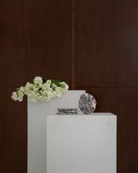 CoTheory Anchor Stone Coasters - Viola Calacatta