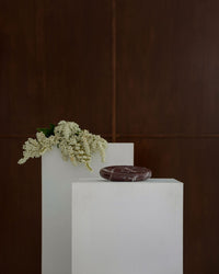 CoTheory Marble Tray Solstice - Rosso Levanto
