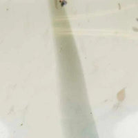 GlobeWest Boden Stripe Bud Vase in sage green handblown glass with delicate stripe pattern and slender shape for indoor décor