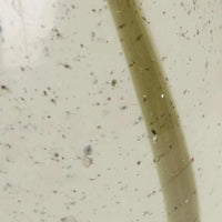 GlobeWest Boden Stripe Vase tall sage green handblown glass with delicate stripe pattern for indoor decor