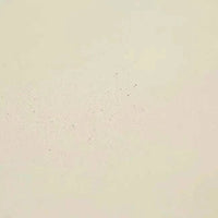 Globe West Dining Tables Globe West Petra Round Dining Table, Ivory