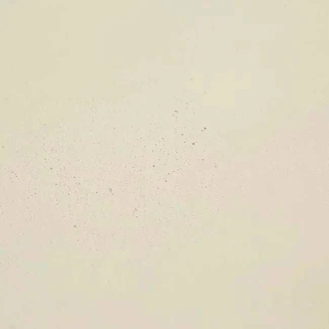 Globe West Dining Tables Globe West Petra Round Dining Table, Ivory