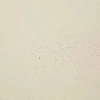 Globe West Dining Tables Globe West Petra Round Dining Table, Ivory