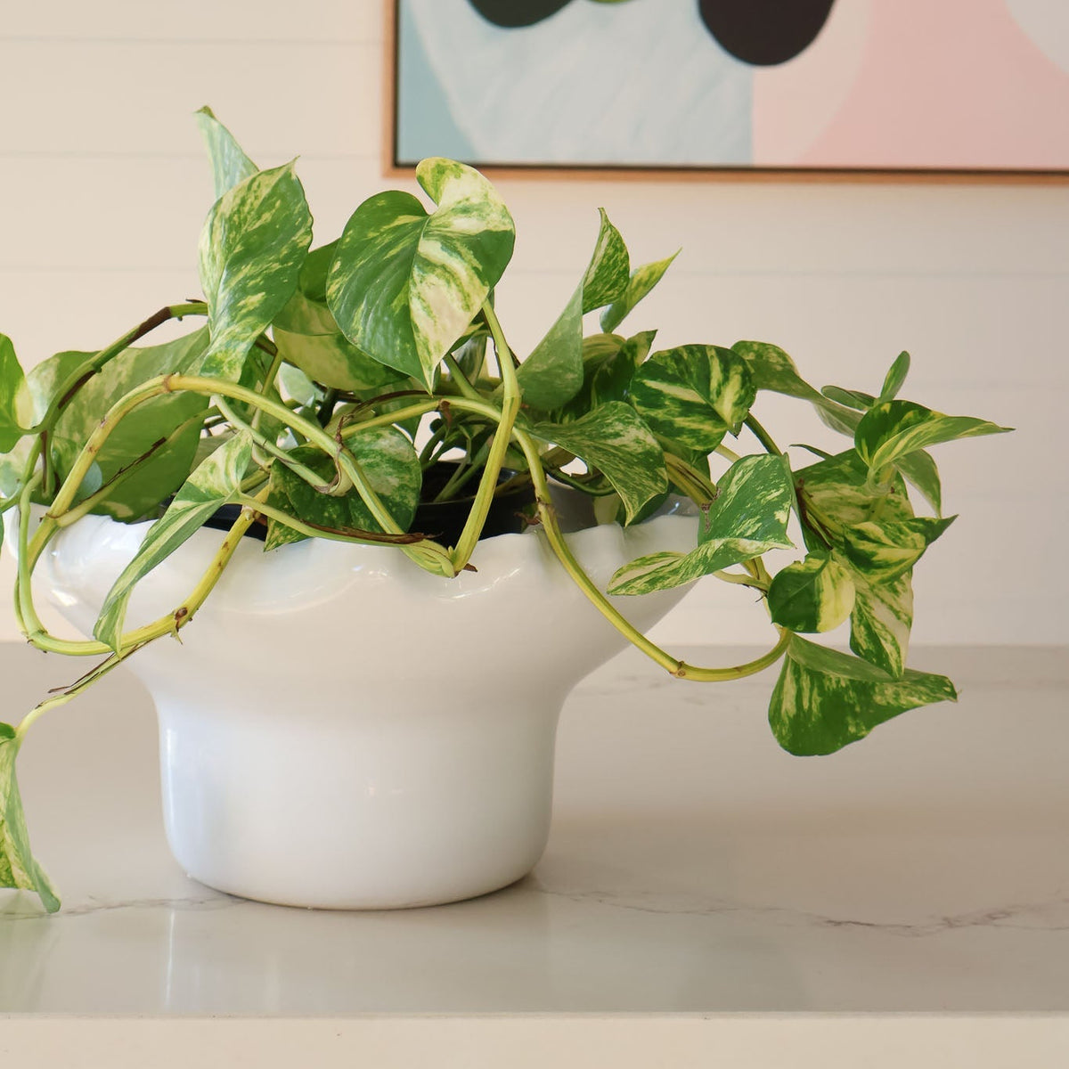 norsu Studio Flow white sculptural ceramic pedestal fruit bowl with ruffled edge and blush glaze