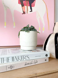 norsu Books Interiors The Makers by Bed Threads