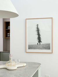 Morgan Henson Prints Morgan Henson Limited Edition Fine Art Canvas Print - Seeking Shade