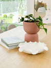 White ceramic Lottie Decorative Bowl with ruffled edges on wooden table centerpiece
