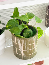 Boyd Ceramic Tile Pot - Olive