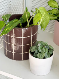 Boyd Ceramic Tile Pot - Chocolate