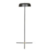 Globe West Lamps Easton Canopy Floor Lamp - Black