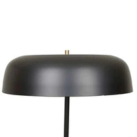 Globe West Lamps Easton Canopy Floor Lamp - Black