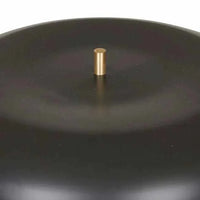 Globe West Lamps Easton Canopy Floor Lamp - Black