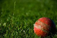 Not Out cricket print by norsu – close-up of a worn red leather cricket ball in long green grass