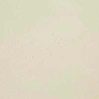 Globe West Dining Tables Globe West Petra Round Dining Table, Ivory