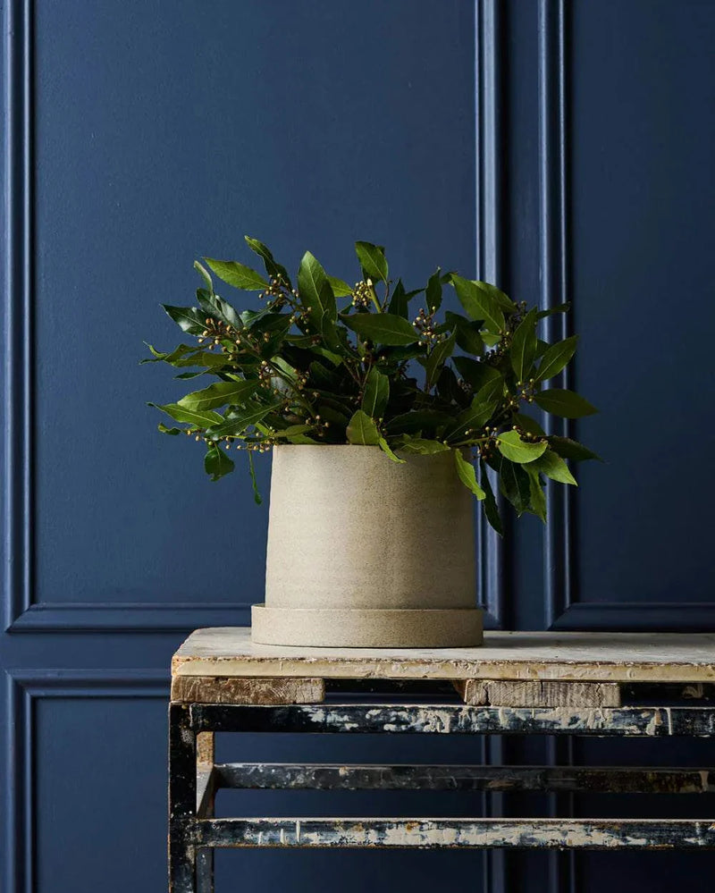 Robert Gordon Garden To Table stoneware planter with tray on rustic table against blue paneled wall