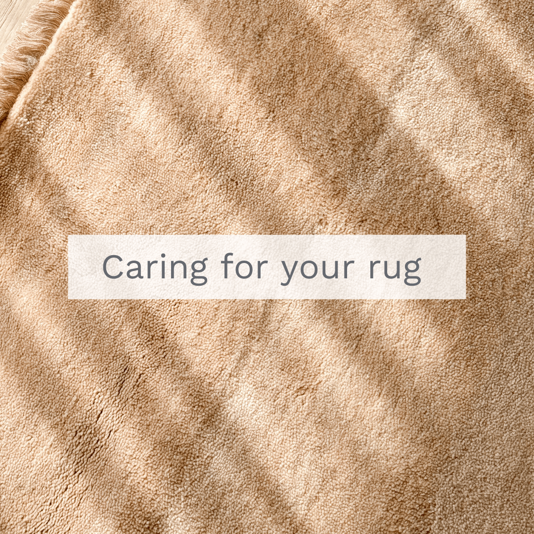 Rug care.png__PID:eb8c00b4-84c2-4289-9cf7-fe67ea62bd17