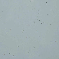 Globe West Side Tables Globe West Hanson Round Side Table - Pale Blue