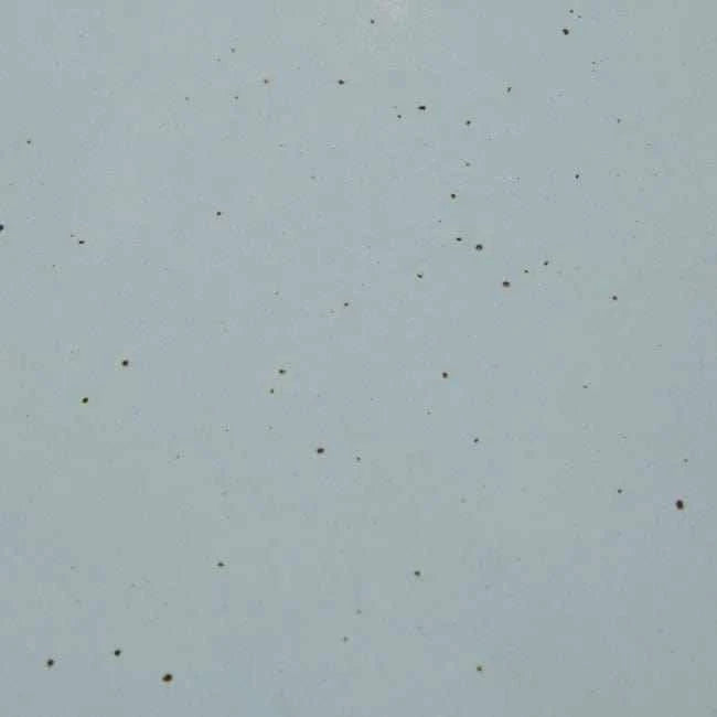 Globe West Side Tables Globe West Hanson Round Side Table - Pale Blue