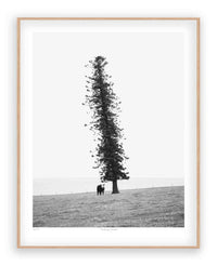 Morgan Henson Morgan Henson Limited Edition Fine Art Canvas Print - Seeking Shade