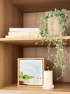 Minimalist styled wooden shelves with books, a cascading potted plant, a framed painting, and a decorative candle.