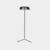 Globe West Lamps Easton Canopy Floor Lamp - Black