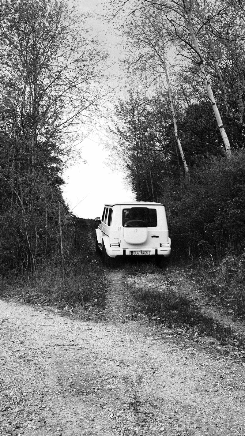 Norsu Interiors Prints Your Own Path Print - Various sizes