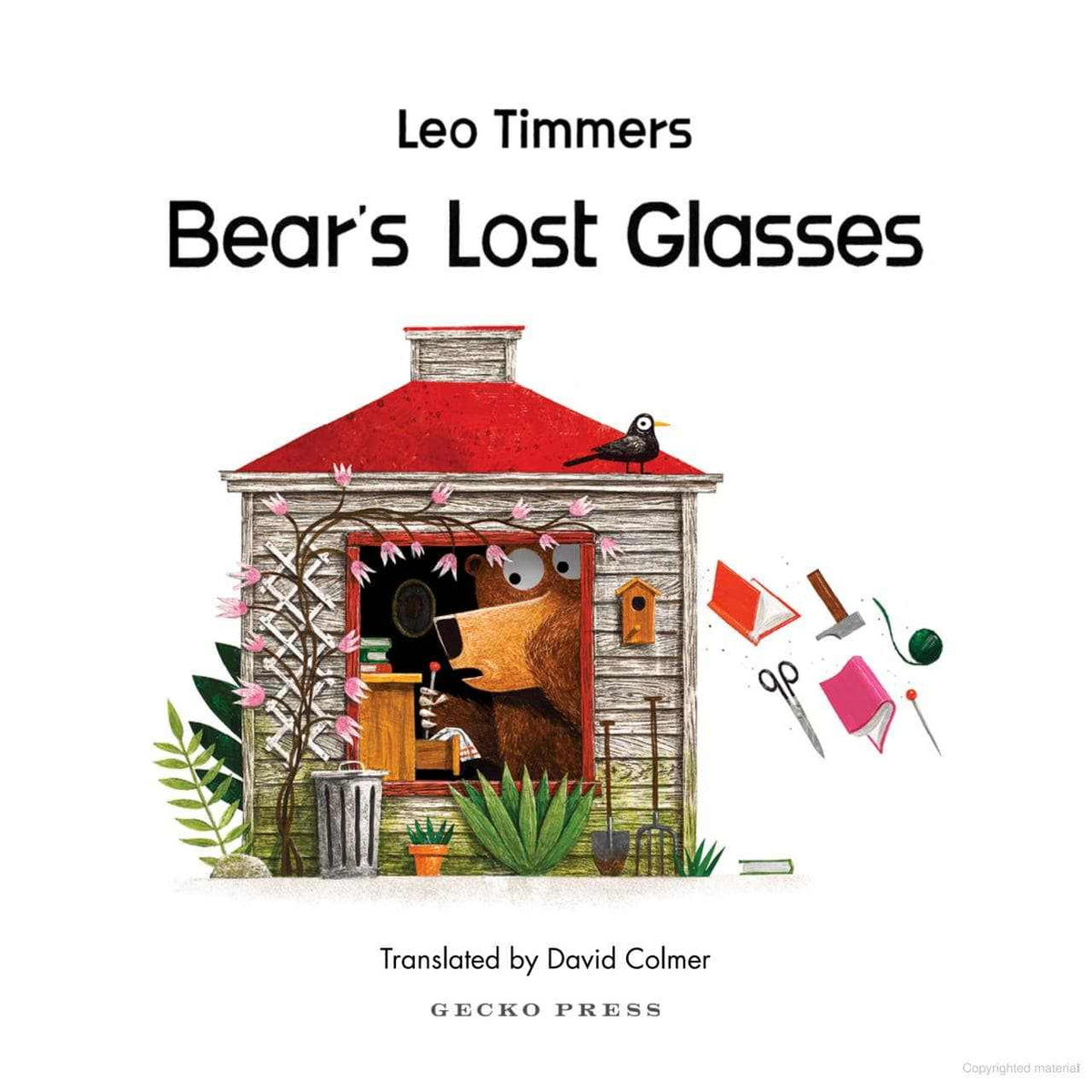 norsu Books Childrens Bear's Lost Glasses - Leo Timmers