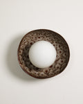 Robert Gordon Shell Wall Sconce, White Ochre