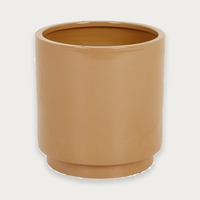 GlobeWest Hanson Alo Planter - Biscuit