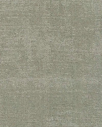 Baya Haywood Floor Rug in Slate with velvet-like texture, sage-green undertones, made from 100% New Zealand wool, 16mm pile depth.
