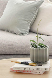 Molmic Sofas 3 Seater Molmic Shona sofa, 3 Seater, Hawthorn Silver Fabic with Oak Timber Legs AVAILABLE FOR IMMEDIATE PICK UP