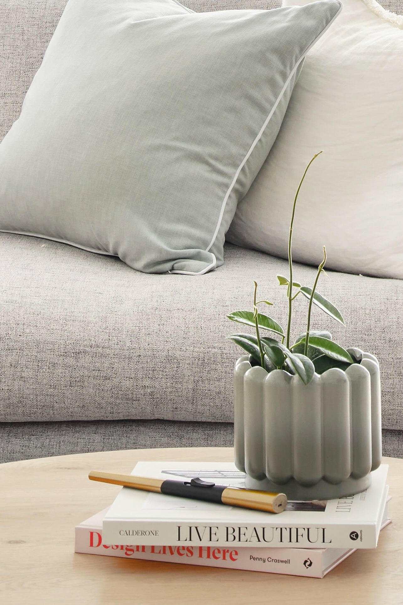 Molmic Sofas 3 Seater Molmic Shona sofa, 3 Seater, Hawthorn Silver Fabic with Oak Timber Legs AVAILABLE FOR IMMEDIATE PICK UP