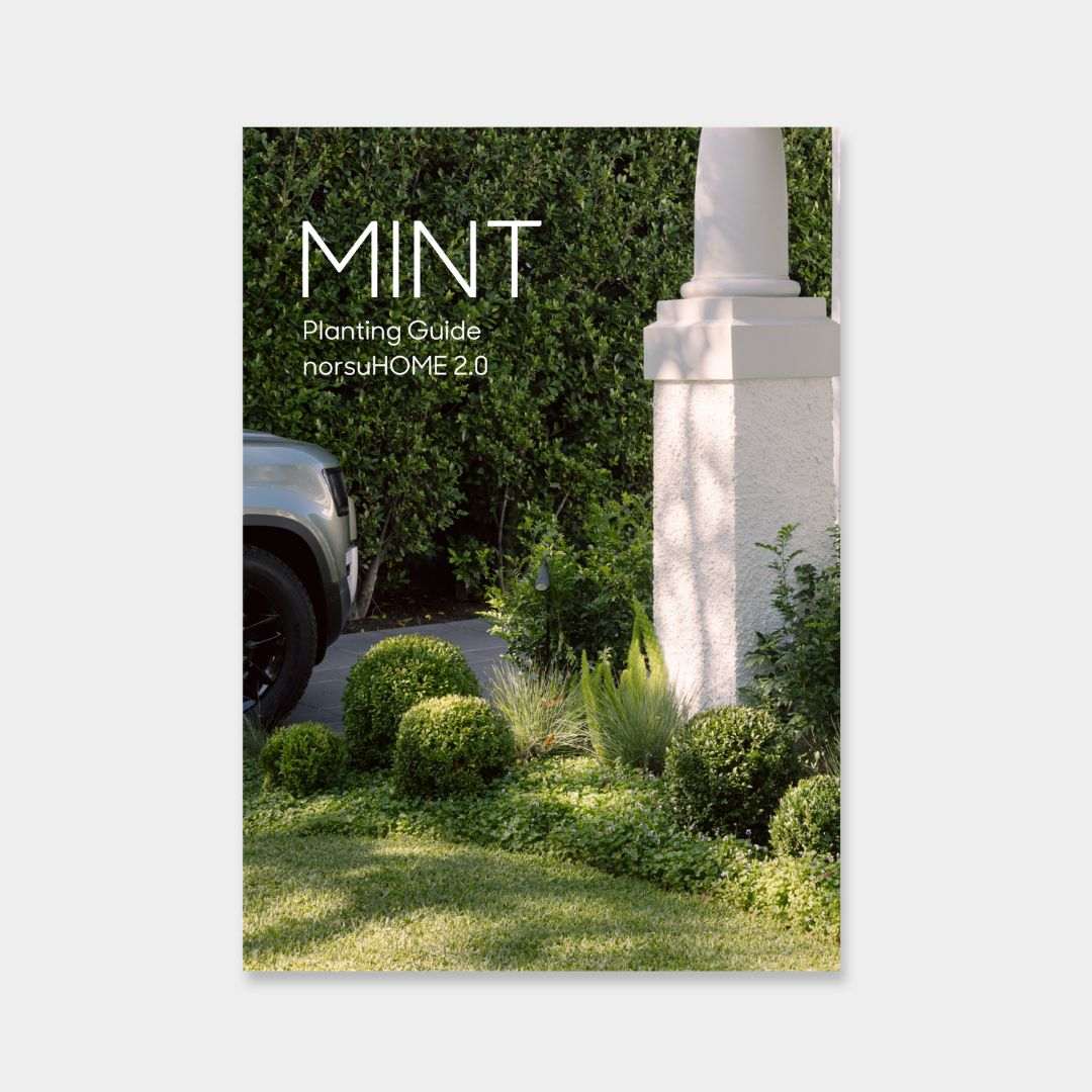 norsuHOME: Planting Guide by Mint Design (Digital Download)